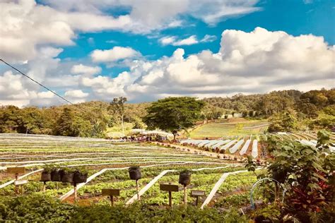 12 Most Beautiful Places in Davao City to Visit.